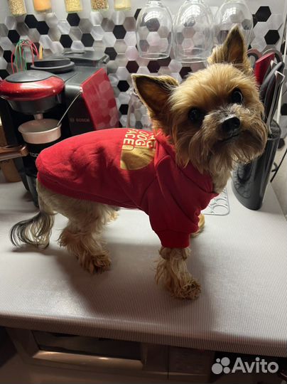 Худе для животных