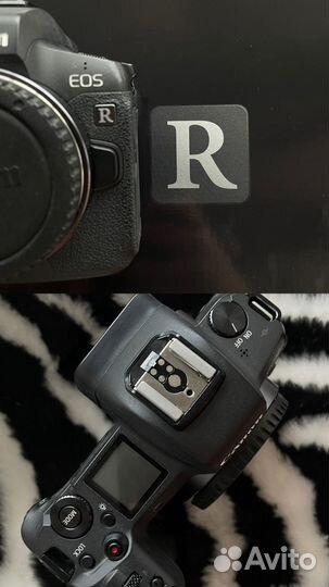 Canon eos r + его семья