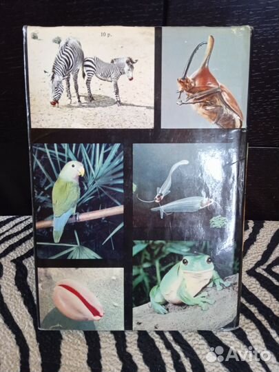 Иллюстрированная энциклопедия животных