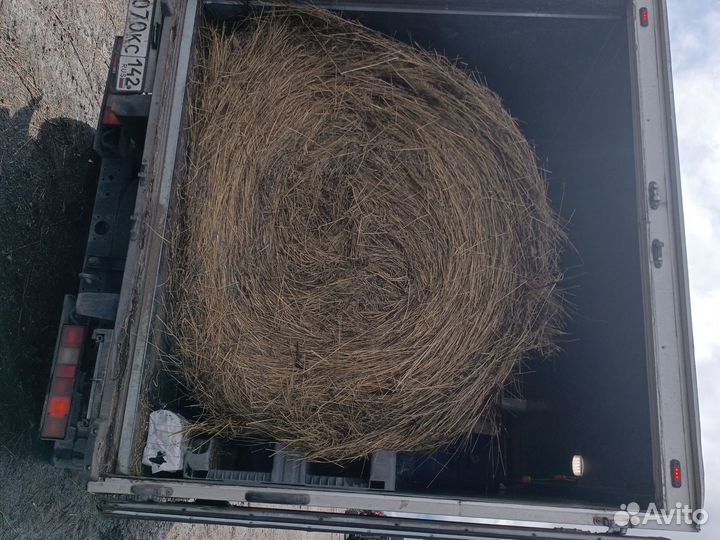 Сено в тюках от 200-250кк стандартные