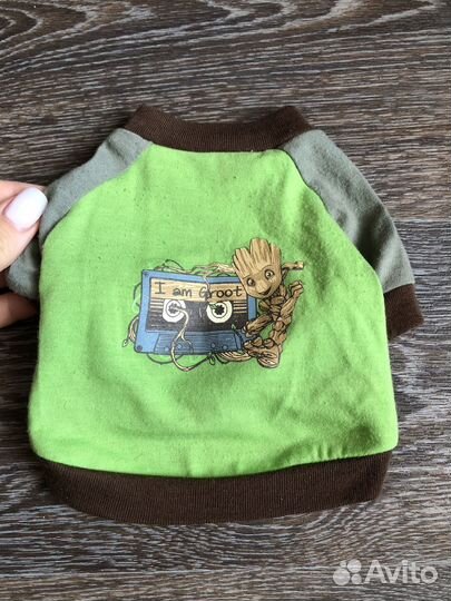 Одежда для маленьких пород собак