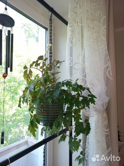 Корзина для фруктов металлическая