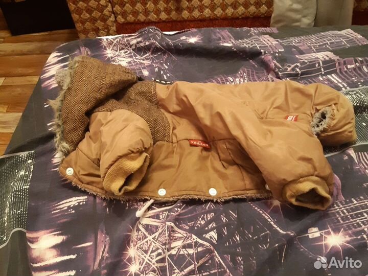 Одежда для собак