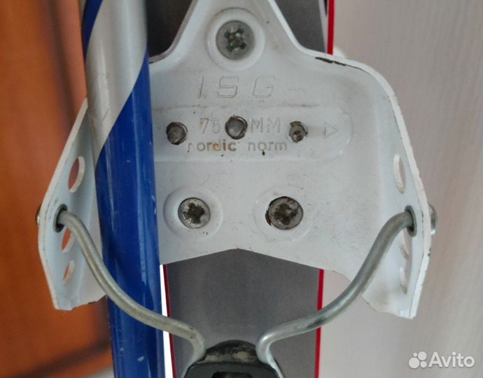 Лыжи Tisa Sport Step