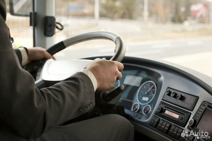 Водитель автобуса (D)