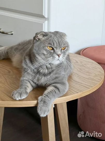 Придиванный столик для дома