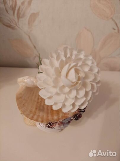 Новый сувенир из ракушек Анапа