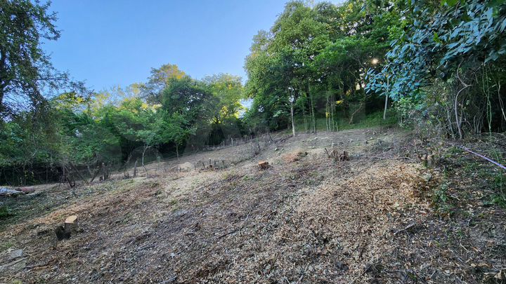 Участок 12 сот. (СНТ, ДНП)