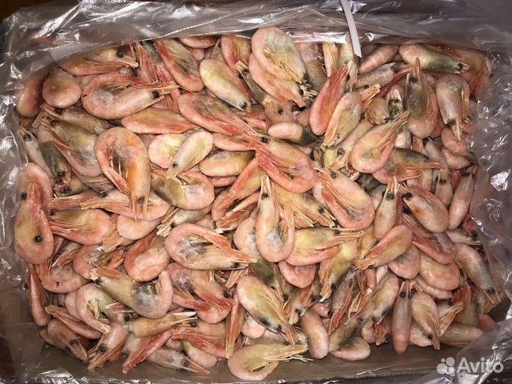 Креветки северные 70-90