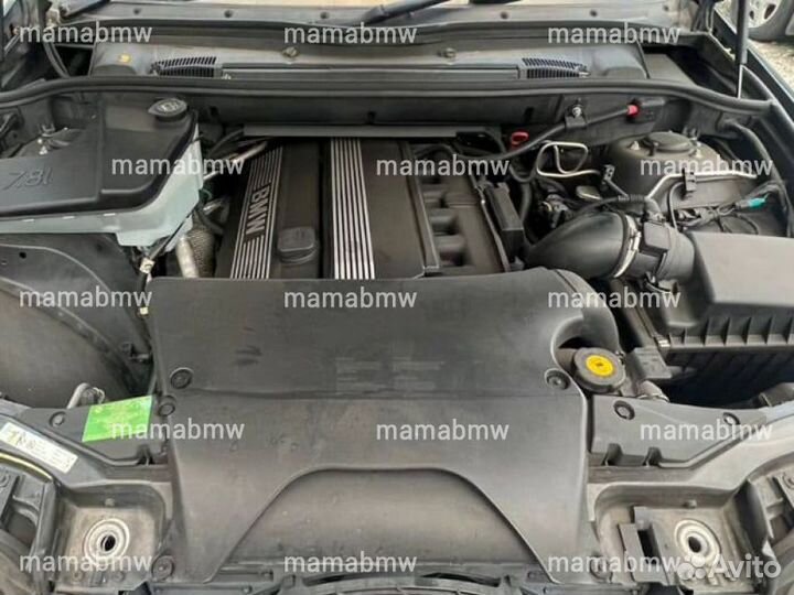 E53 X5 Е53 Х5 X5 3.0i рест 475 цвет бмв BMW разбор