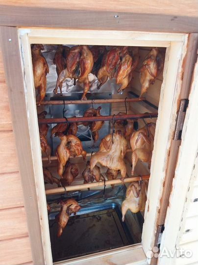 Перепел мясо птицы