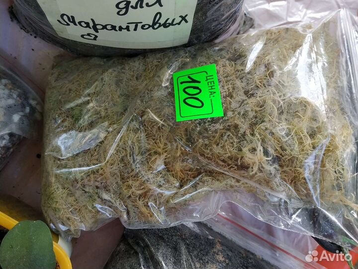 150. Грунт - Субстрат для цветов