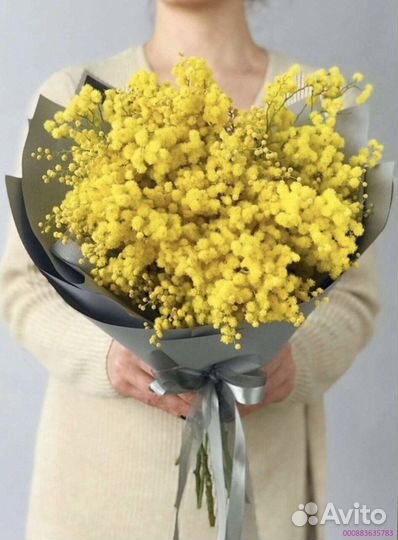 Букеты из мимозы (Арт.87942)