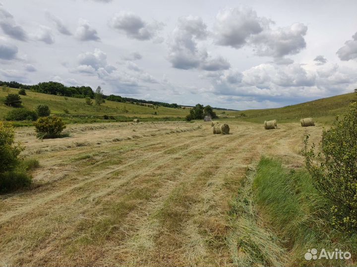 Солома и сено в мешках и рулонах