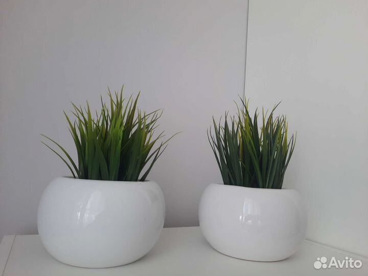 Флорариум горшки, кашпо Икея