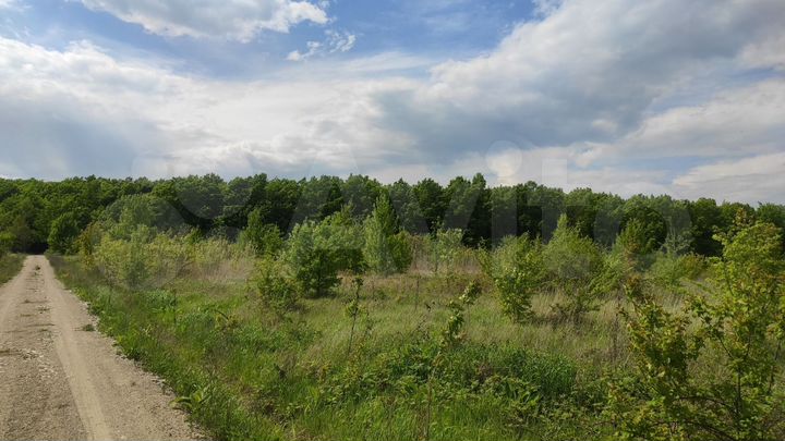 Участок 100 сот. (СНТ, ДНП)