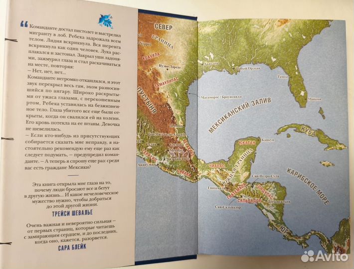 Американская грязь, Дженин Камминс