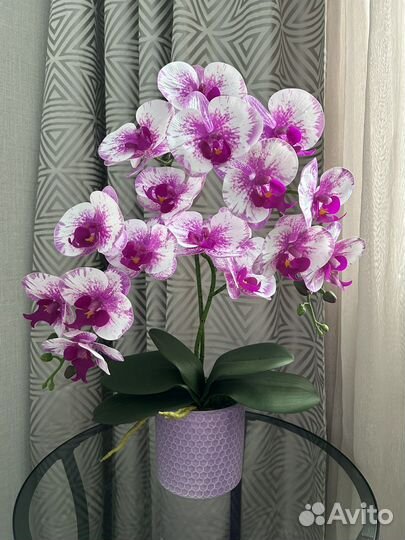 Искусственная орхидея Real touch из латекса