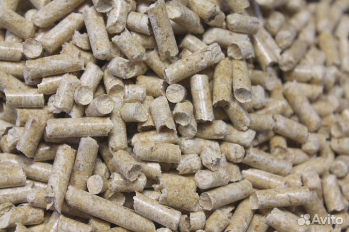 Наполнитель для кошачьего туалета