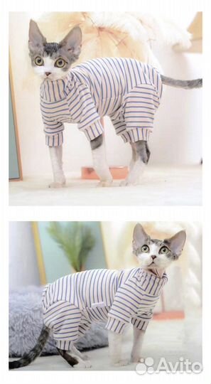 Новый комбинезон для кошек сфинкс Одежда для кошек