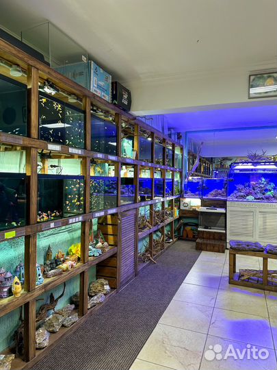 Аквариумсочи