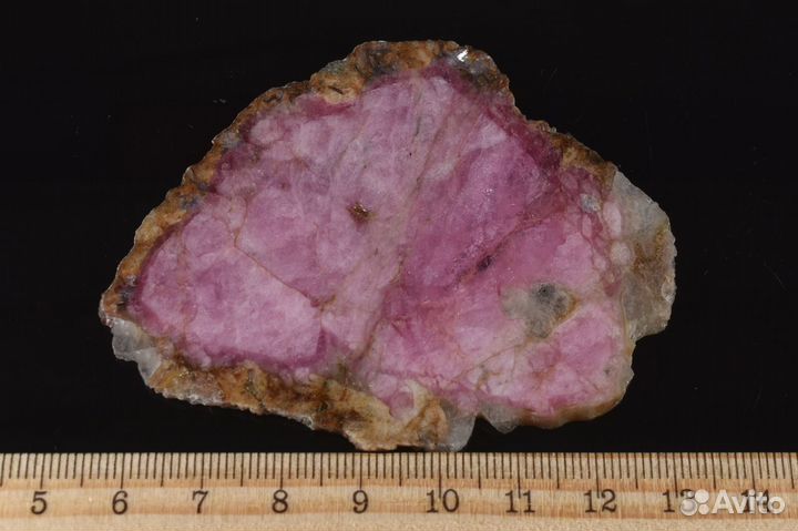 Турмалин. Полированный срез. Лот №201