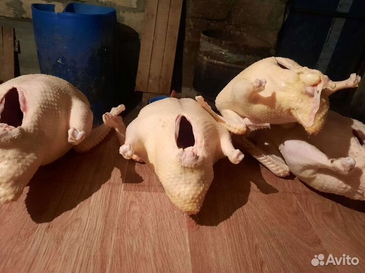 Для дома для дачи