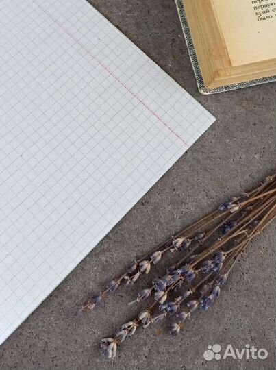 Тетрадь в клетку 12 листов