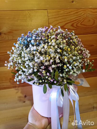 Гипсофила в коробке