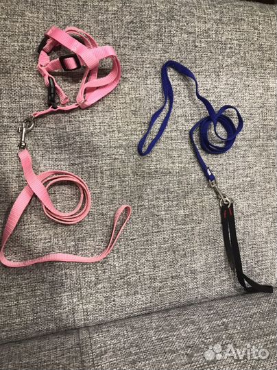Поводки, шлейки и ошейник