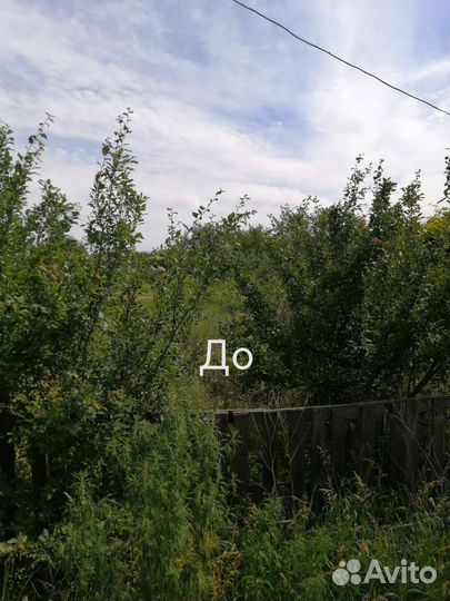 Покос травы тримером вспашка земли мотоблоком