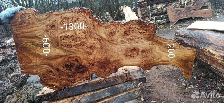 Слэб карагача