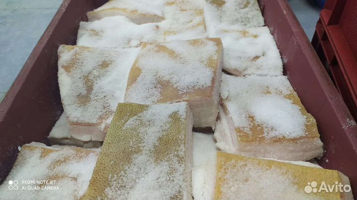 Сало домашнее