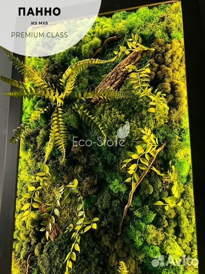 Картина из мха в черной раме на подарок