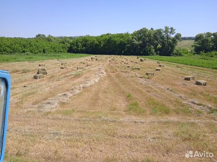 Сено в тюках