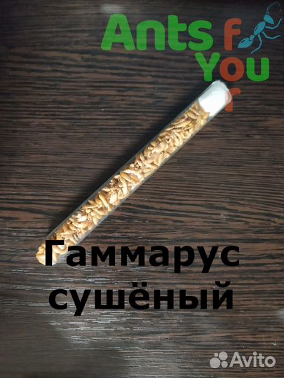 Корм, аксессуары и декор для формикария