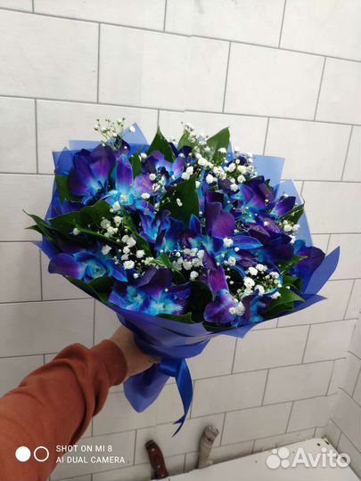 Букеты цветы корзины гипсофила розы