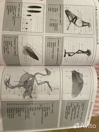 Справочник химия/биология