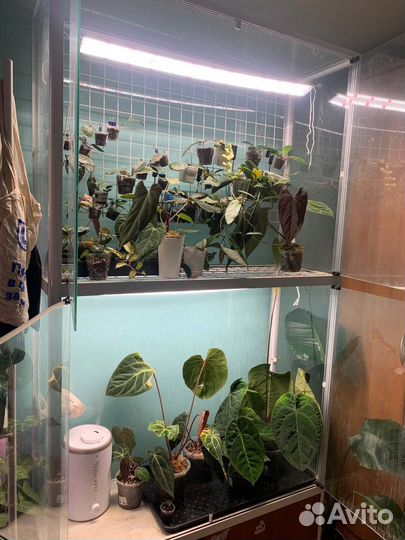 Шкаф - витрина