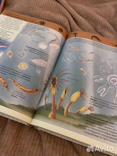 Детская энциклопедия росмэн