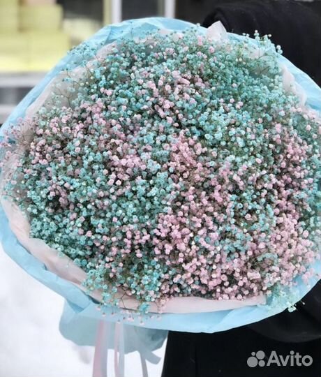 Цветы гипсофила букеты