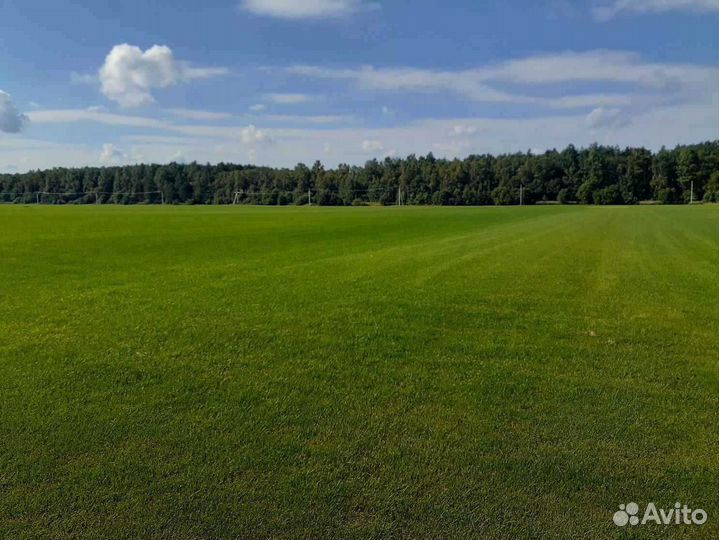 Укладка и продажа рулонного газона