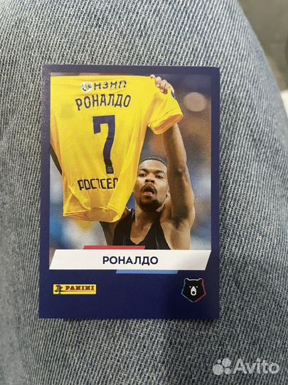 Наклейки panini рпл 2024 2025
