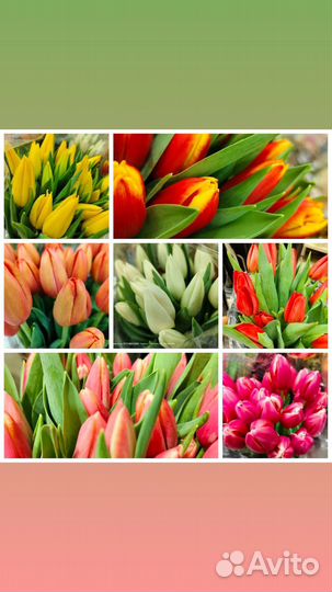 Цветы-букеты