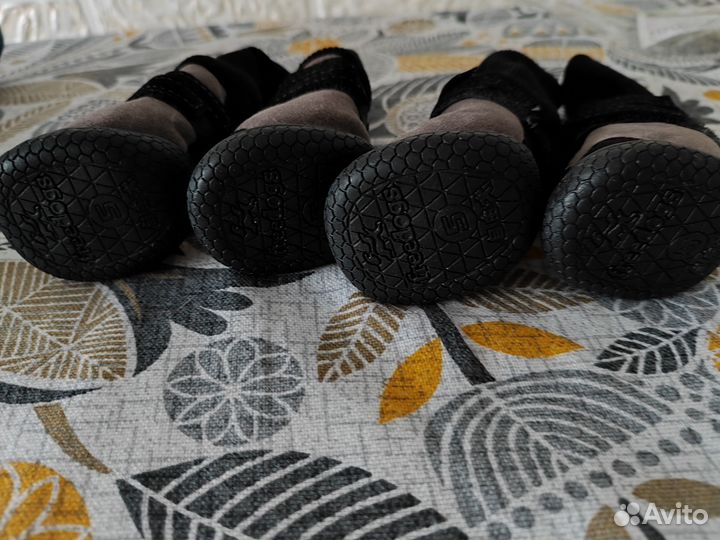 Сапожки для собак