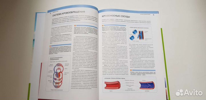 Книги о здоровье и лечении