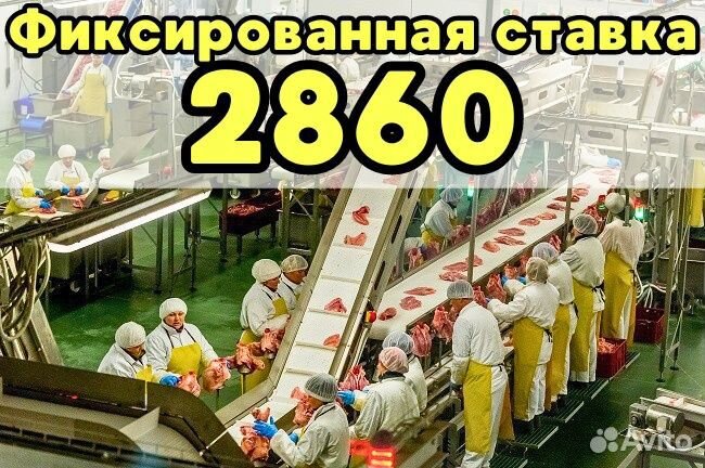 Выезд из Бузулука Упаковщики Питание проживание