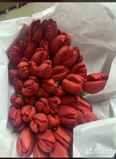 Букет из тюльпанов