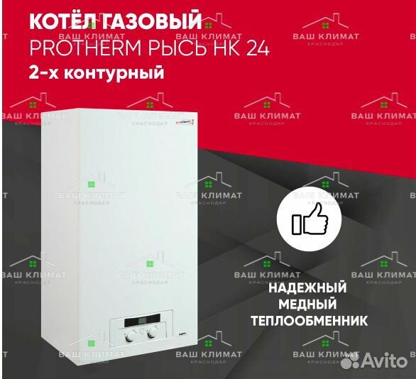 Котел газовый Protherm / Протерм Рысь нк 24