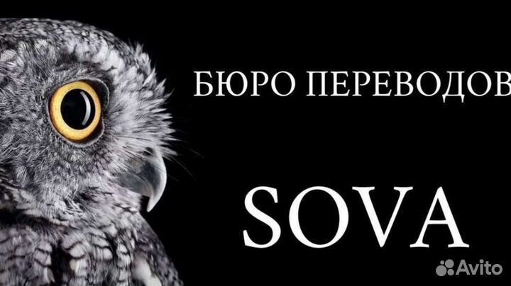 Перевод с иностранных языков